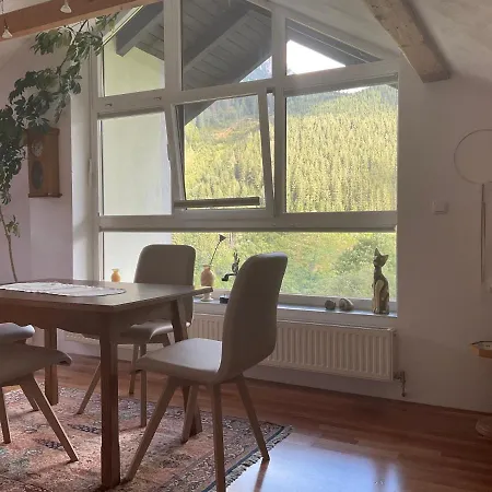 Dallinger Appartement Radmer an der Stube