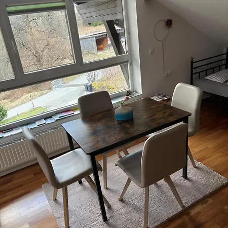 Dallinger Appartement *
