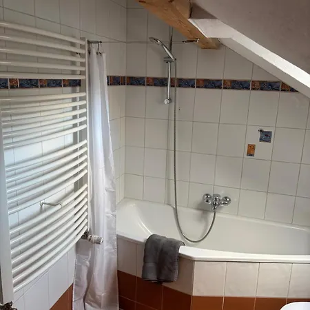 Appartement Dallinger Radmer an der Stube